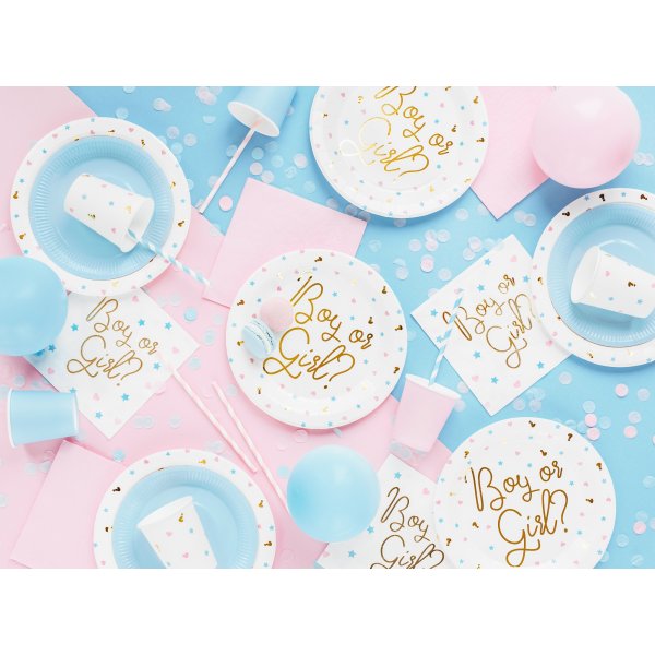 Papptallerkener - Gutt eller jente? - 6-pakning