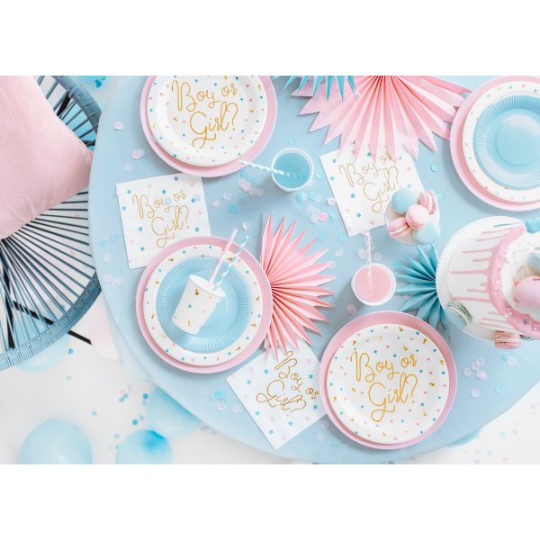 Papptallerkener - Gutt eller jente? - 6-pakning