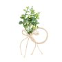 Serviettringer - Blomster - 6 cm Serviettringer - Blomster - 6 cm