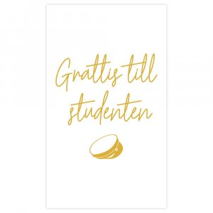 Studentkort - 10 x 17 - Gratulerer til studenten Studentkort - 10 x 17 - Gratulerer til studenten