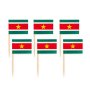Partypicks - Flagg - Surinam - 50-pakning Partypicks - Flagg - Surinam - 50-pakning