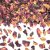 Konfetti - Torkade blommor - 400g