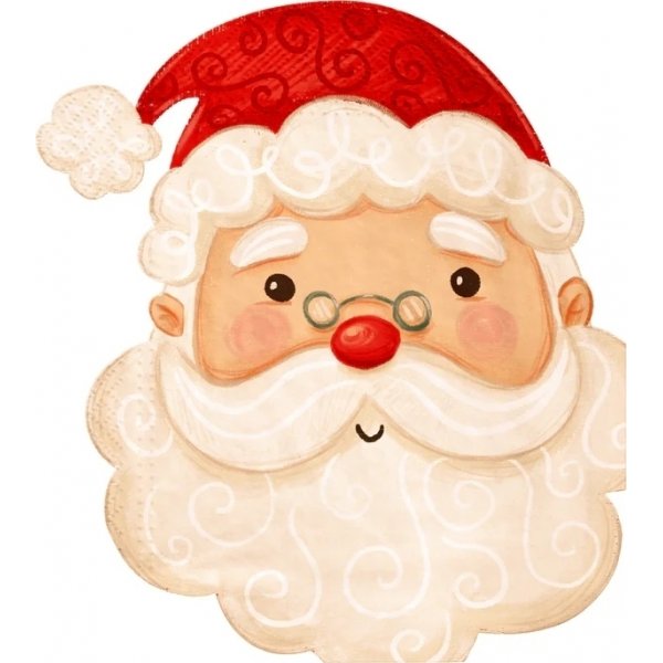 Servietter - Julenissen - 10-pakning