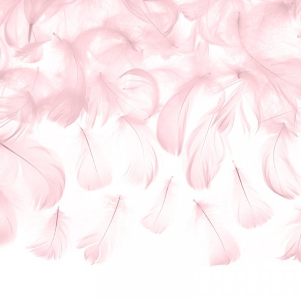 Fjær - Lys rosa Fjær - Lys rosa
