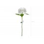 Hortensia - 69 cm - Premium - Hvit Hortensia - 69 cm - Premium - Hvit