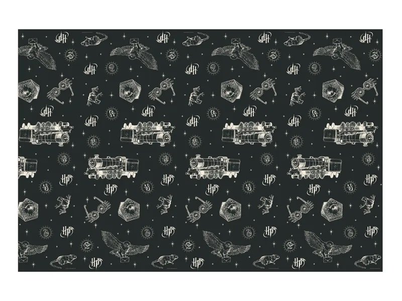 Duk - Harry Potter - 180x120 cm - Harry Potter