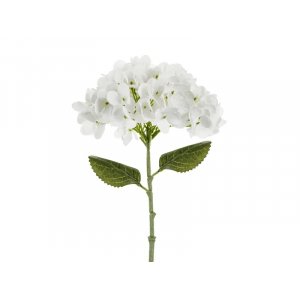 Hortensia - 35 cm - Hvit