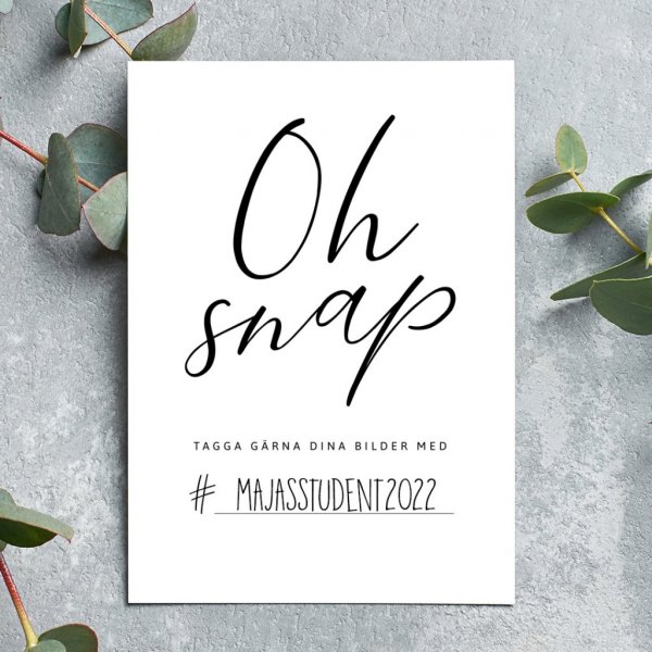 Instagram-skilt - 2-pakning - Student