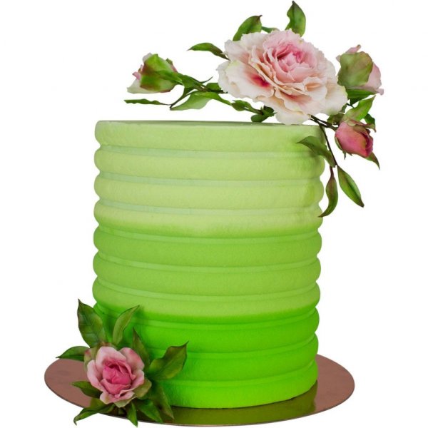 Sideskrape - Kamskjell - PME Sideskrape - Kamskjell - PME