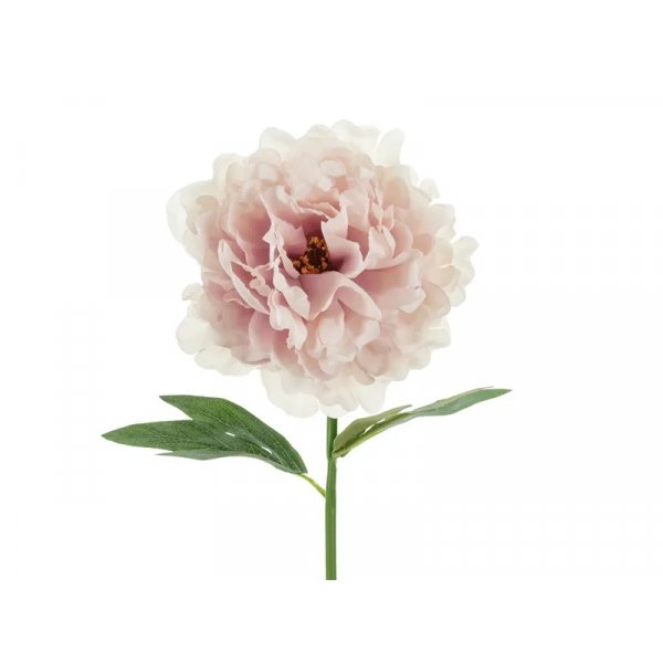 Peonblomst - 35 cm - Lys rosa