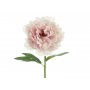 Peonblomst - 35 cm - Lys rosa