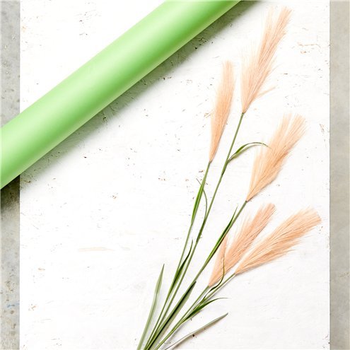 Pampasgress - 1,45 m - Sand Pampasgress - 1,45 m - Sand