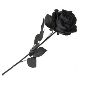 Dekorasjon - Halloween - Svart Rose - 65 cm