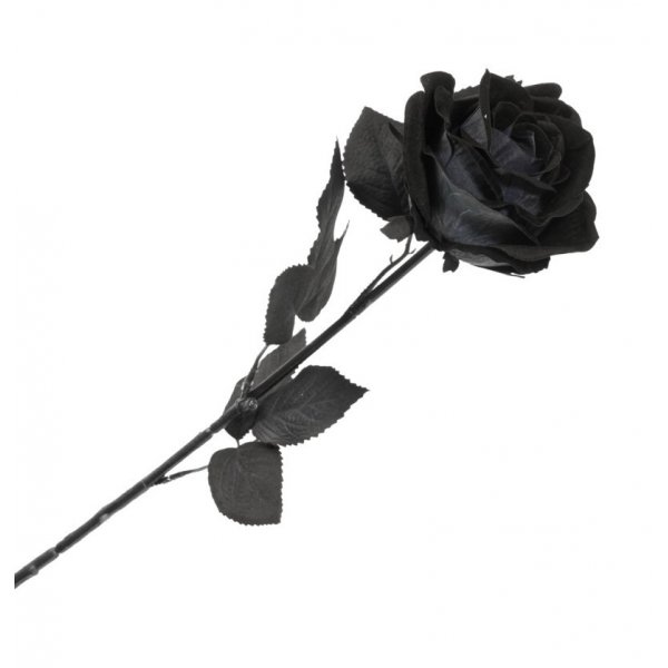 Dekorasjon - Halloween - Svart Rose - 65 cm Dekorasjon - Halloween - Svart Rose - 65 cm