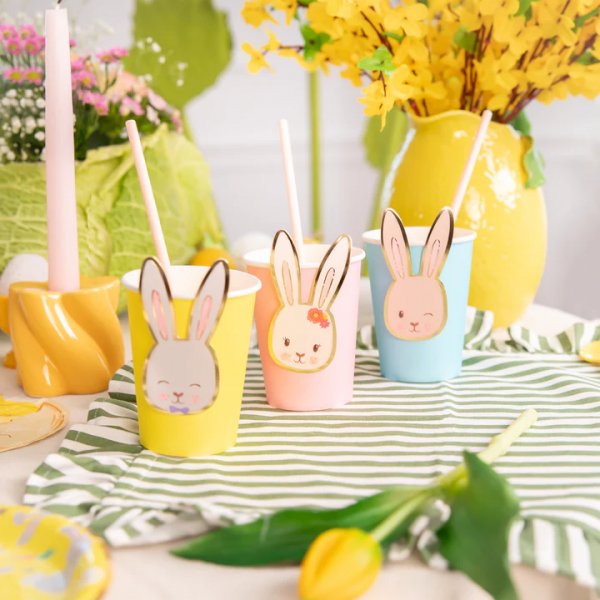 Pappkrus - Kanin�rer - 6-pakning