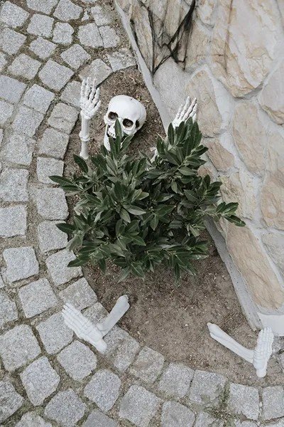 Skjelettdeler - Halloween-dekorasjon