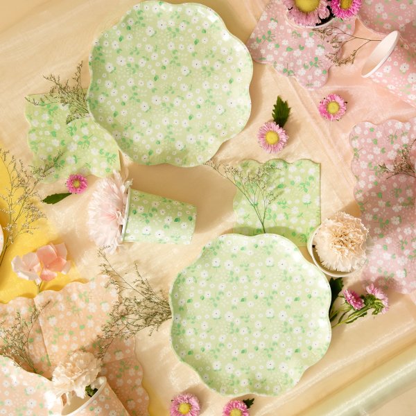 Pappkrus - Sommereng - 6-pakning