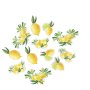 Konfetti - Sitroner - 12-pakning Konfetti - Sitroner - 12-pakning