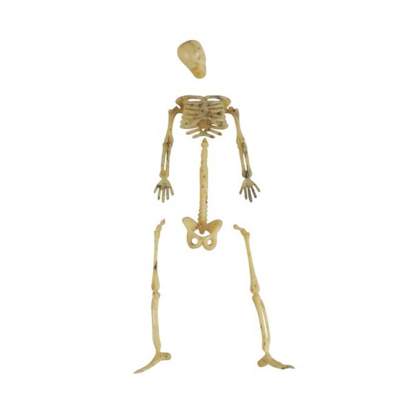 Sm skjelettdeler - Halloween-dekorasjon