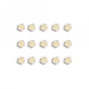 Sukkerdekorasjoner - Sm blomster - Hvite - 30 stk