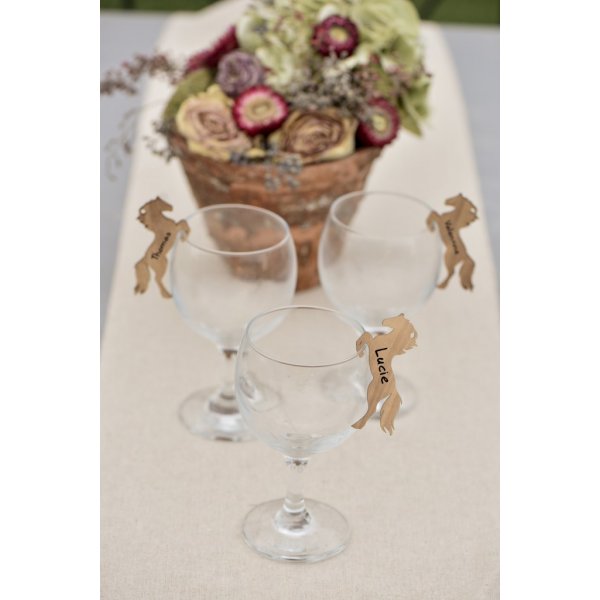 Tagger - Navneskilt - Hestefest - 6-pakning