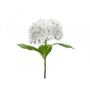 Hortensia - 69 cm - Premium - Hvit