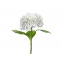Hortensia - 69 cm - Premium - Hvit Hortensia - 69 cm - Premium - Hvit