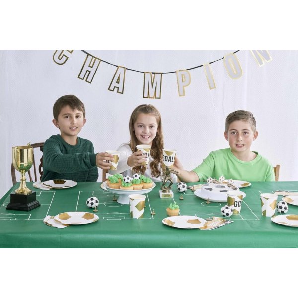 Duk - Fotballbane - Champion